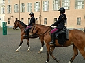 La Santa Sindone - Polizia a cavallo_12